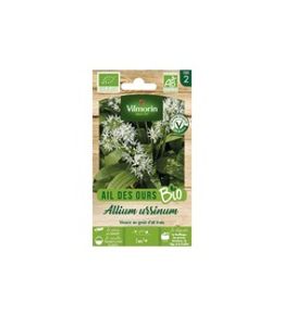 Sachet de graines ail des ours bio