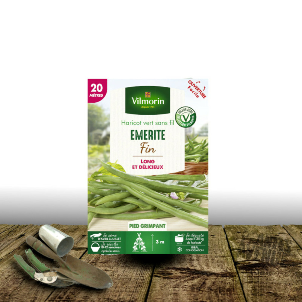 Graines de haricot grimpant vert sans fil émérite - vilmorin boite - 20 mètres