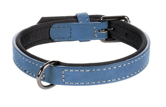 Collier pour chien avec doublure néoprène