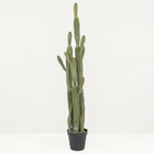 Cactus artificiel géant 150cm