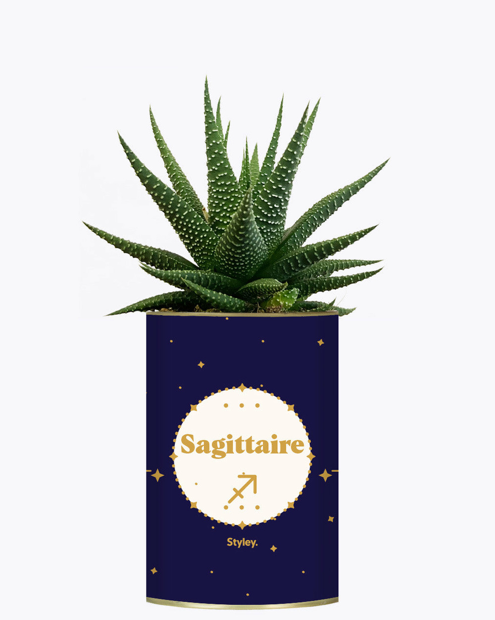 Idée cadeau - astrologie - plante zodiac