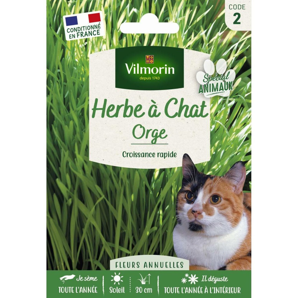 Sachet graines herbe à chat
