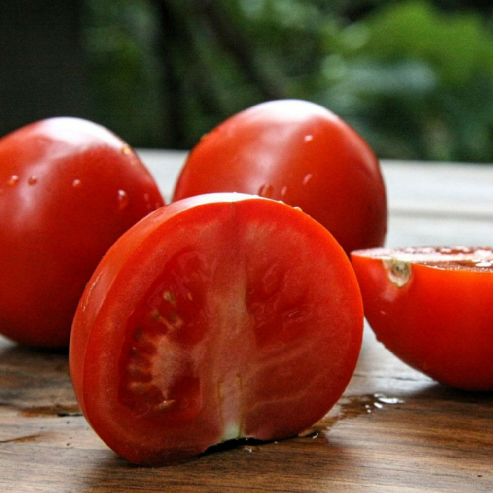 Graines de tomate dona hf1 - vilmorin sachet