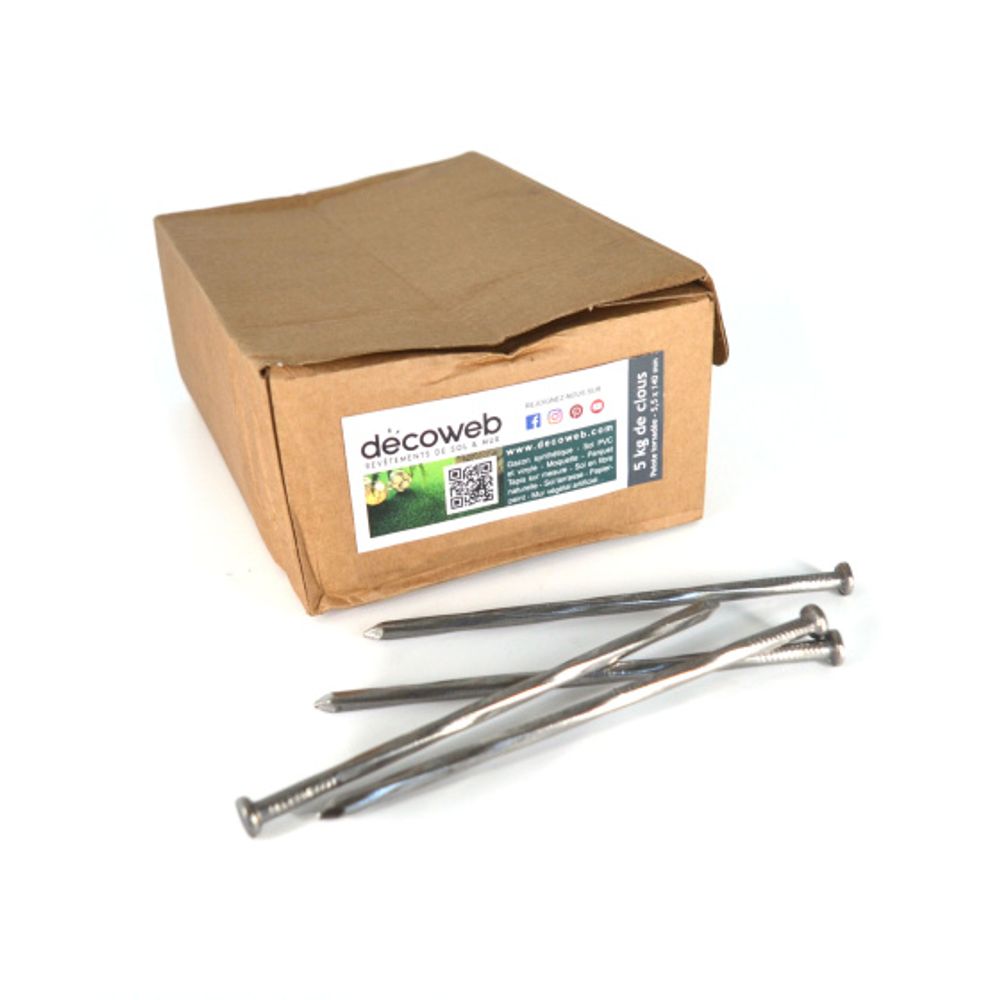 Boîte de 5 kg de clous torsadés (environ 190 clous) pour gazon synthétique