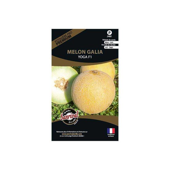 Graines potagères premium melon galia yoga