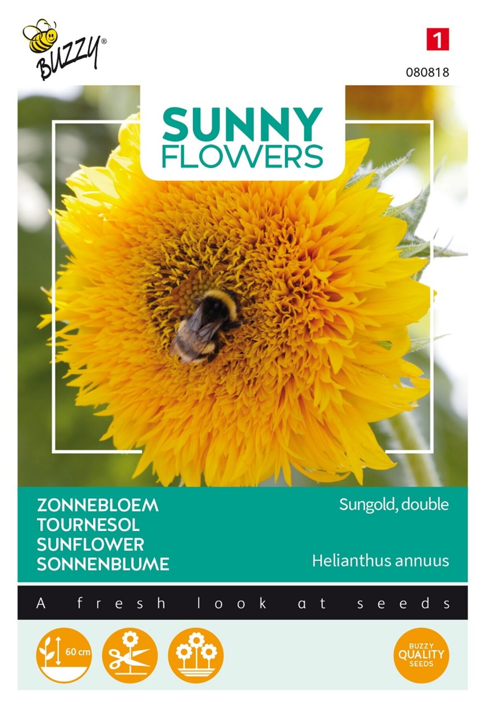 Buzzy sunny flowers, tournesol nain sungold double - ca. 2.5 gr (livraison gratuite)