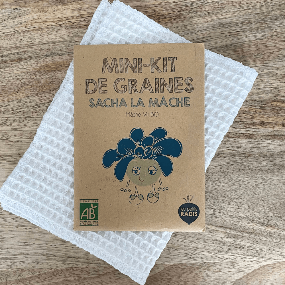 Mini kit de graines - sacha la mache