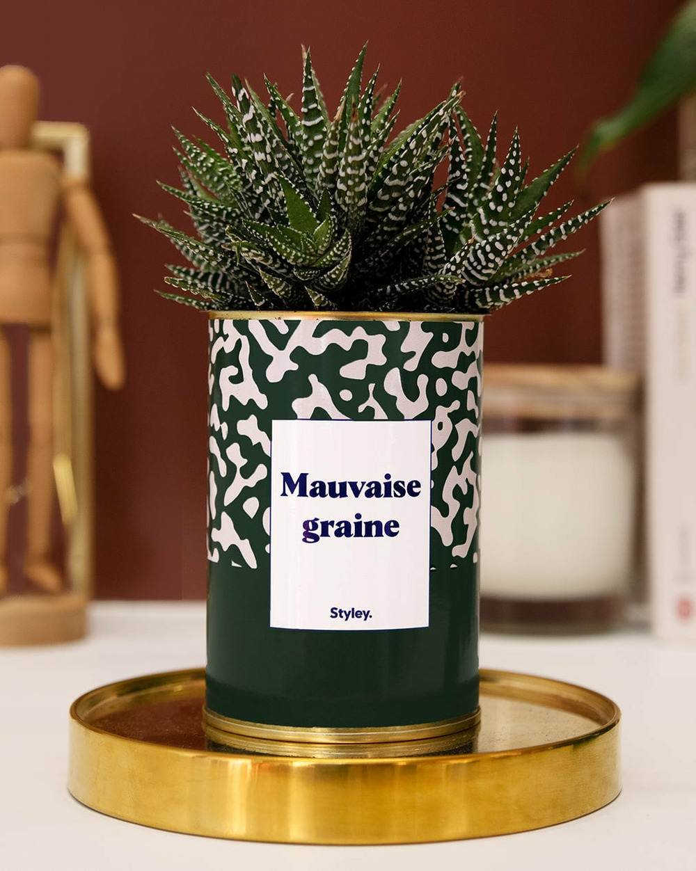 Idée cadeau - mauvaise graine - cactus