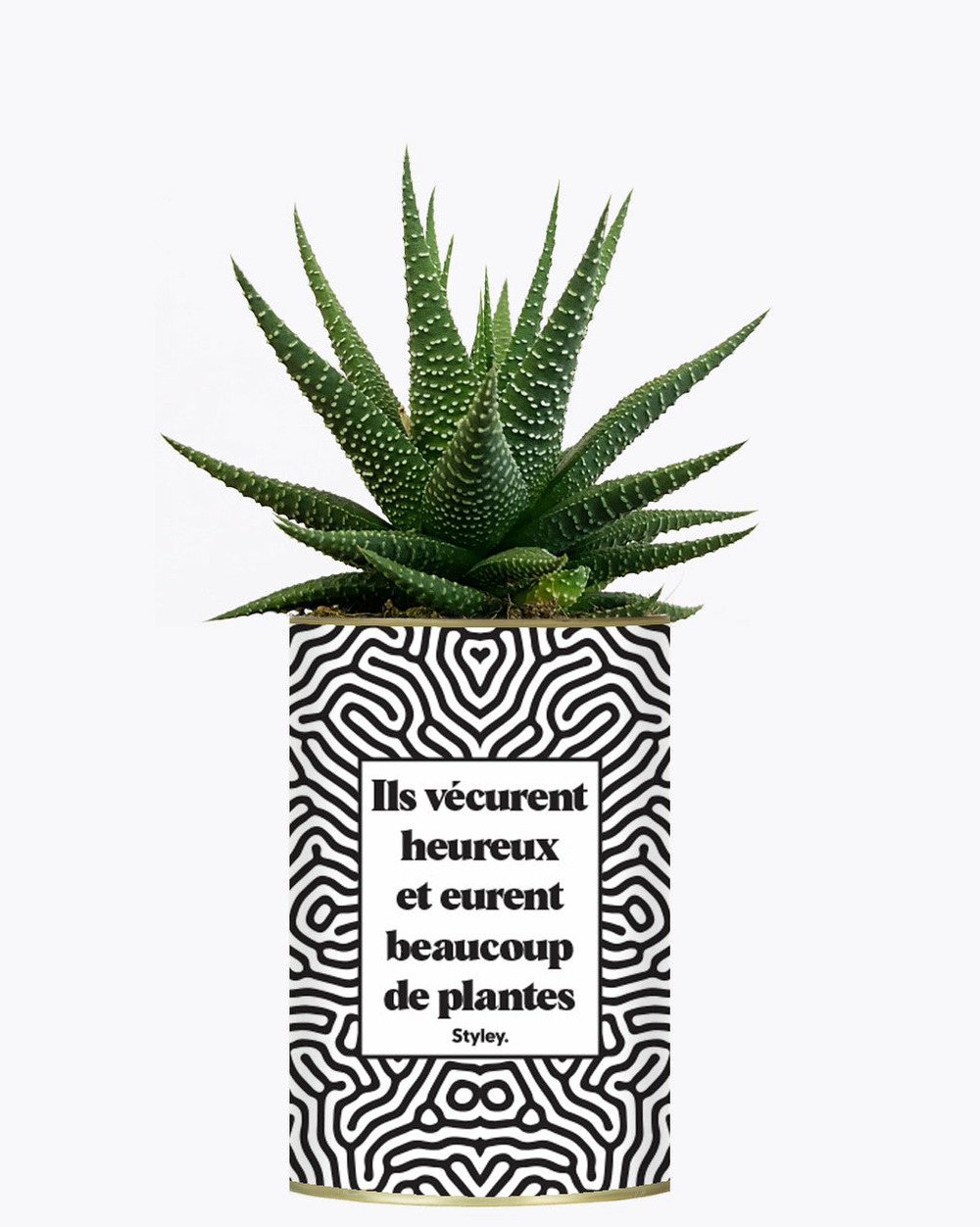 Plante drôle - ils vécurent heureux et eurent beaucoup de plantes - plante