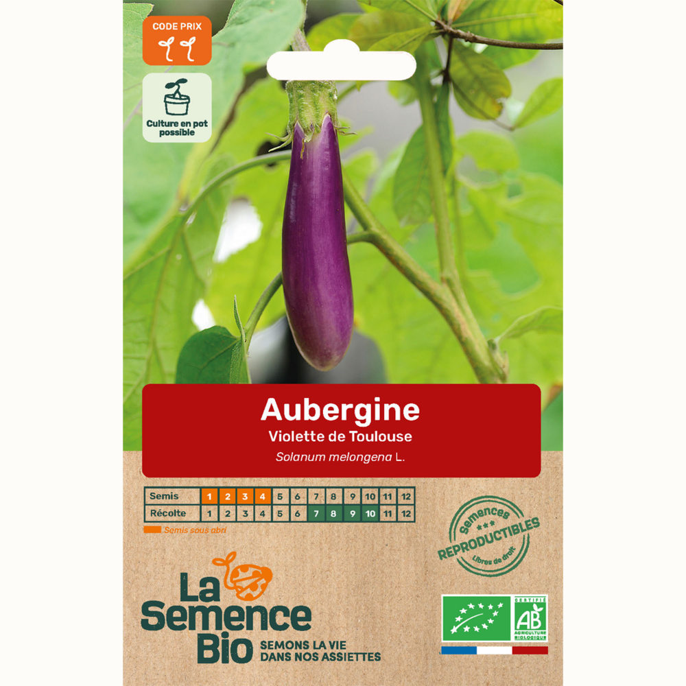 Aubergine violette de toulouse - graines bio
