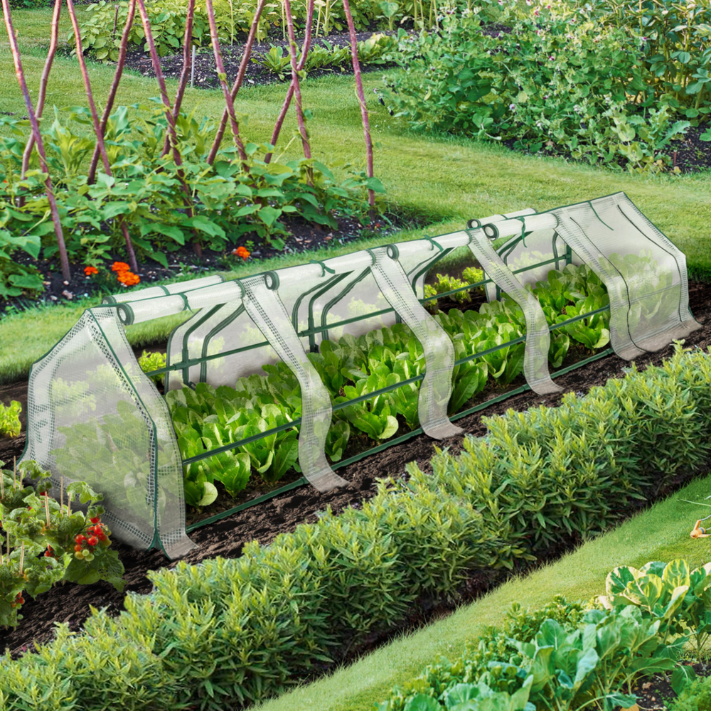 Serre châssis de jardin spéciale forçage l. 300 cm blanche