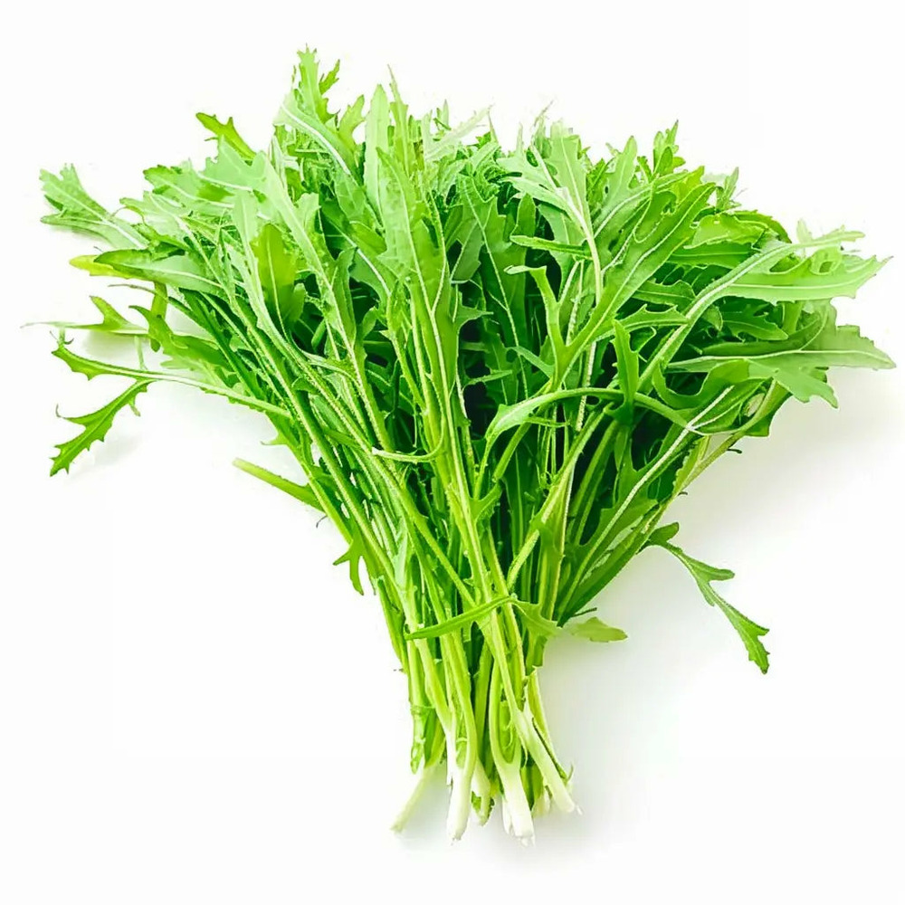 200 graines de chou mizuna - semisauvage permaculture