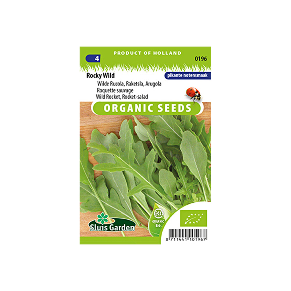 Fausse roquette, roquette blanche 'rocky wild' le sachet de 10000 graines environ (2,5g)