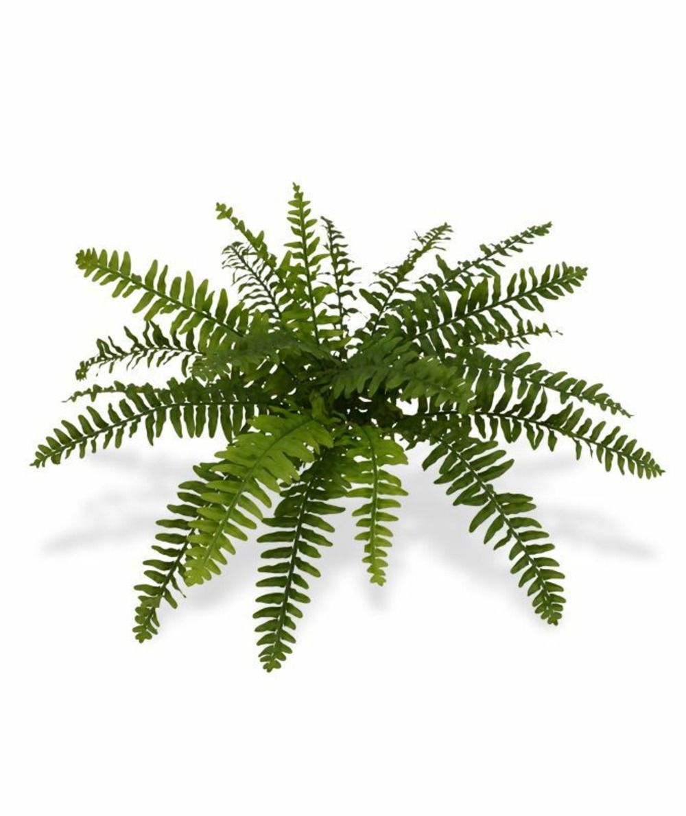 Fougère artificielle de boston deluxe x21 50 cm