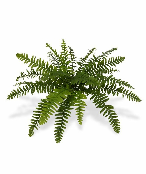 Fougère artificielle de boston deluxe x21 50 cm