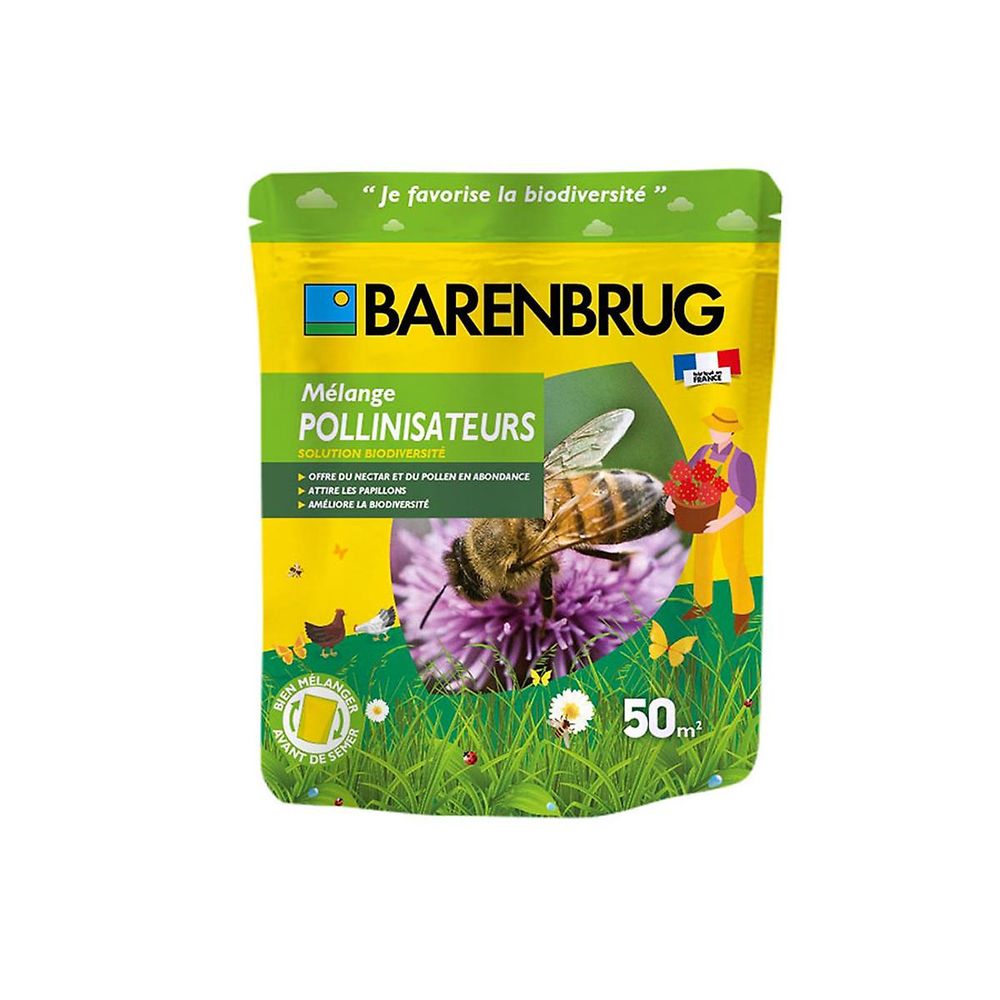 Melange pollinisateurs bio 250 gr/50 m2