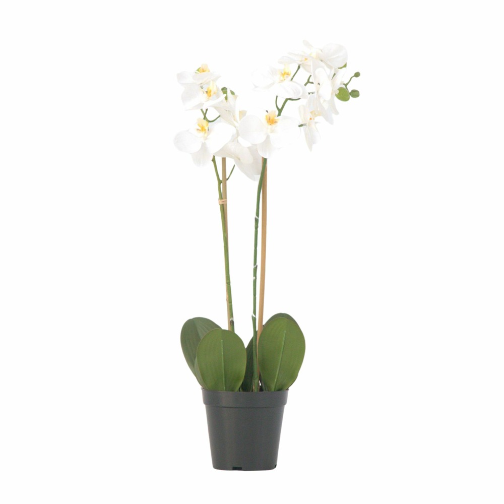 Orchidée phalaenopsis artificielle - hauteur 55cm