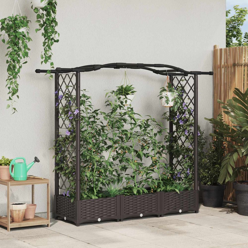 Jardinière surélevée polypropylène pour plantes grimpantes avec treillis marron 169x40x123cm