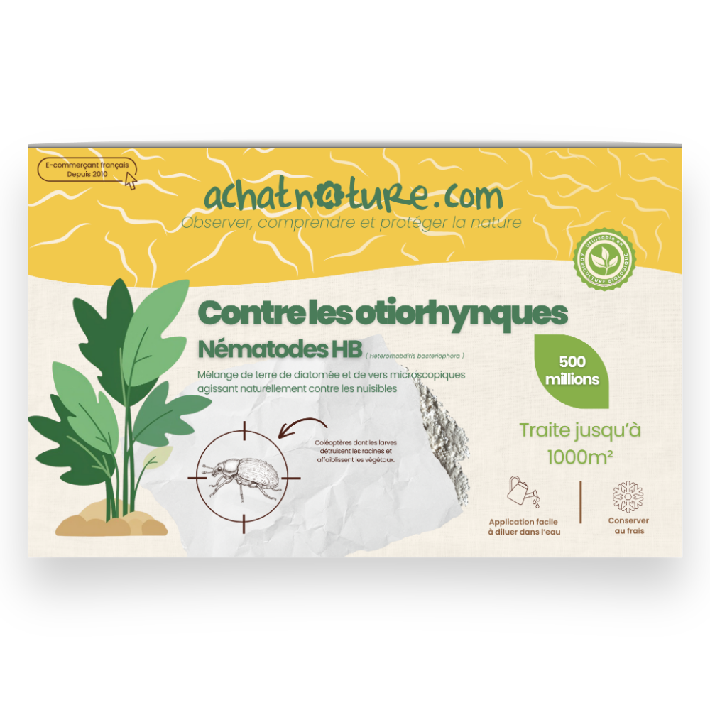 Nématodes hb contre otiorhynques - 500 millions - 1000 m²