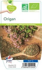 Origan marjolaine plante ab pot 1l - plant d'aromatique du jardin