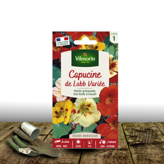 Graines de capucine lobb variées - vilmorin sachet