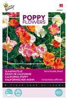 Buzzy poppy flowers eschscholtzia californica