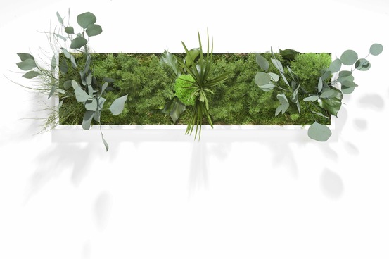 Tableau végétal stabilisé yakali - tableau stabilisé - décoration d'intérieur - 70*20 cm