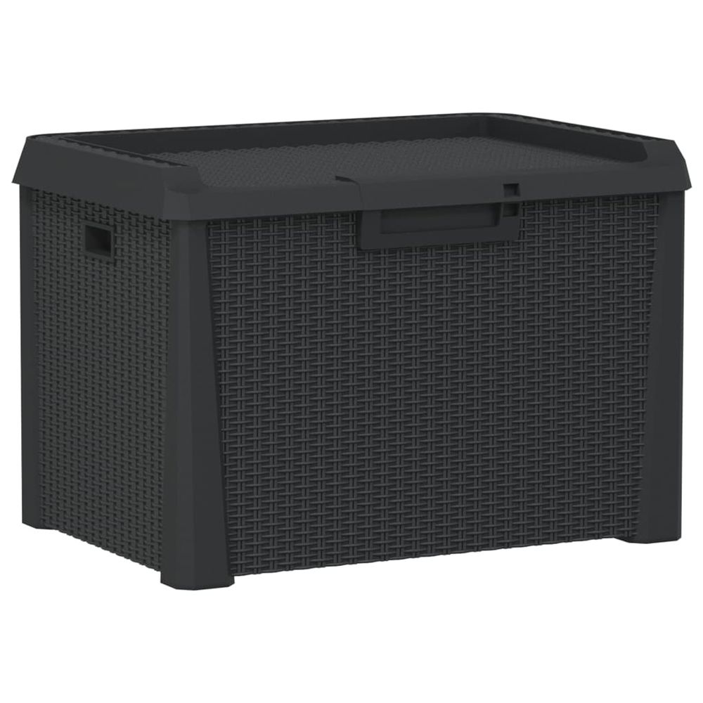 Boîte de rangement de jardin anthracite 125 l pp