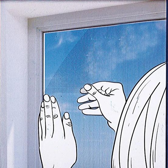 Moustiquaire pour fenêtre - pose facile