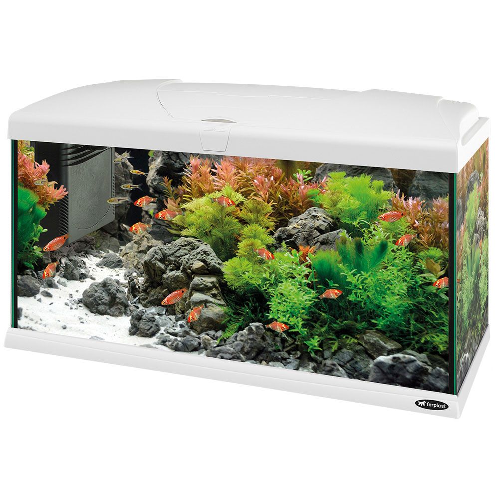 Hydor aquarium capri 80 led, en verre, lampes led, capacité 100 l ...