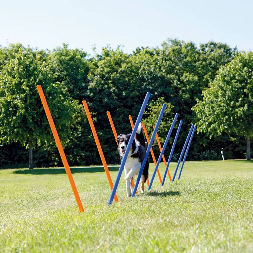 Piquets de slalom pour parcours d'agilité 115 cm 12 pcs plastique