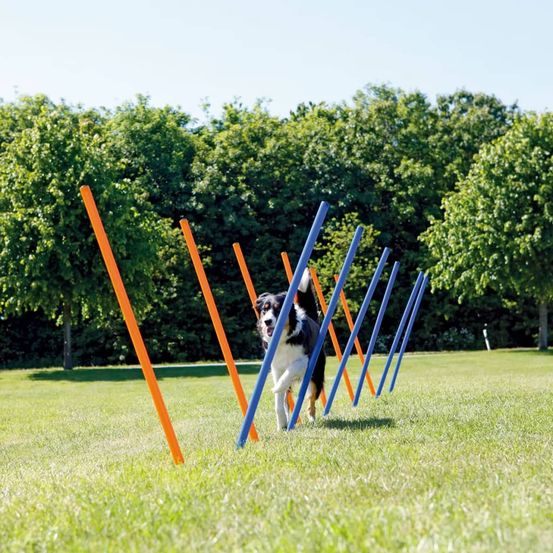 Piquets de slalom pour parcours d'agilité 115 cm 12 pcs plastique