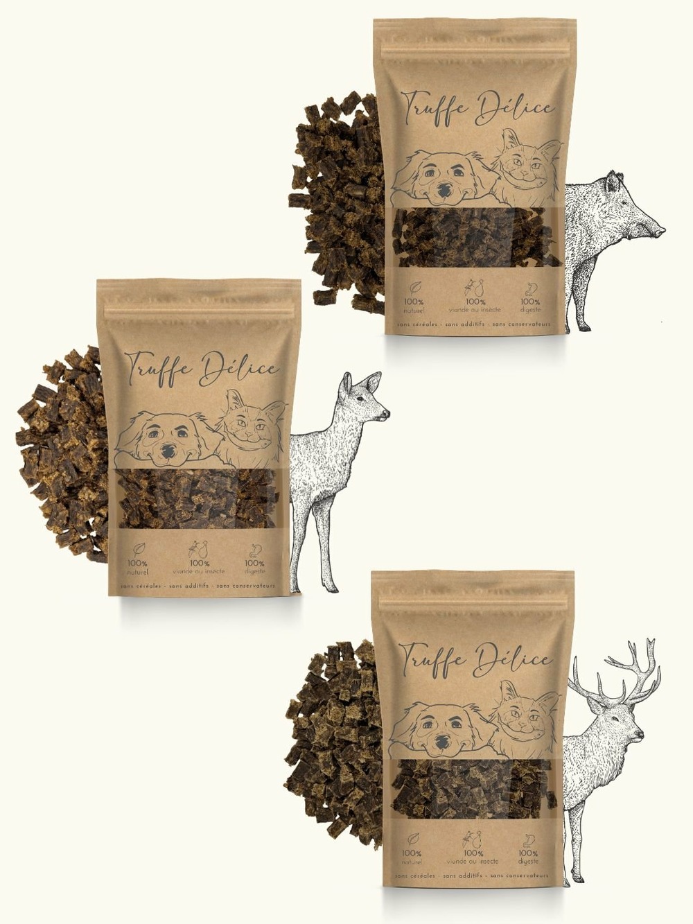 Coffret d'éducation gibier