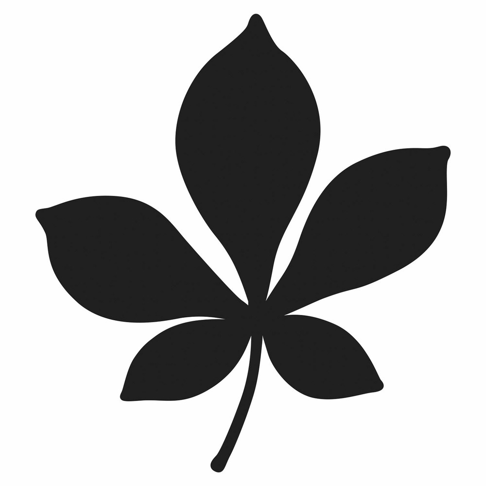 Matrices de découpe - feuille de marronnier