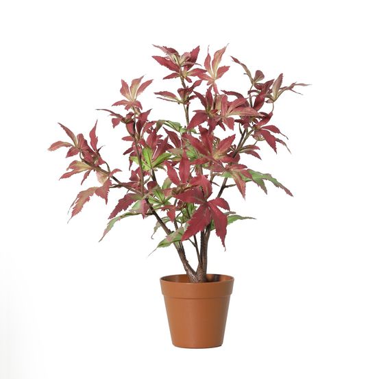 Érable plante artificielle - h53 cm - ø13 cm