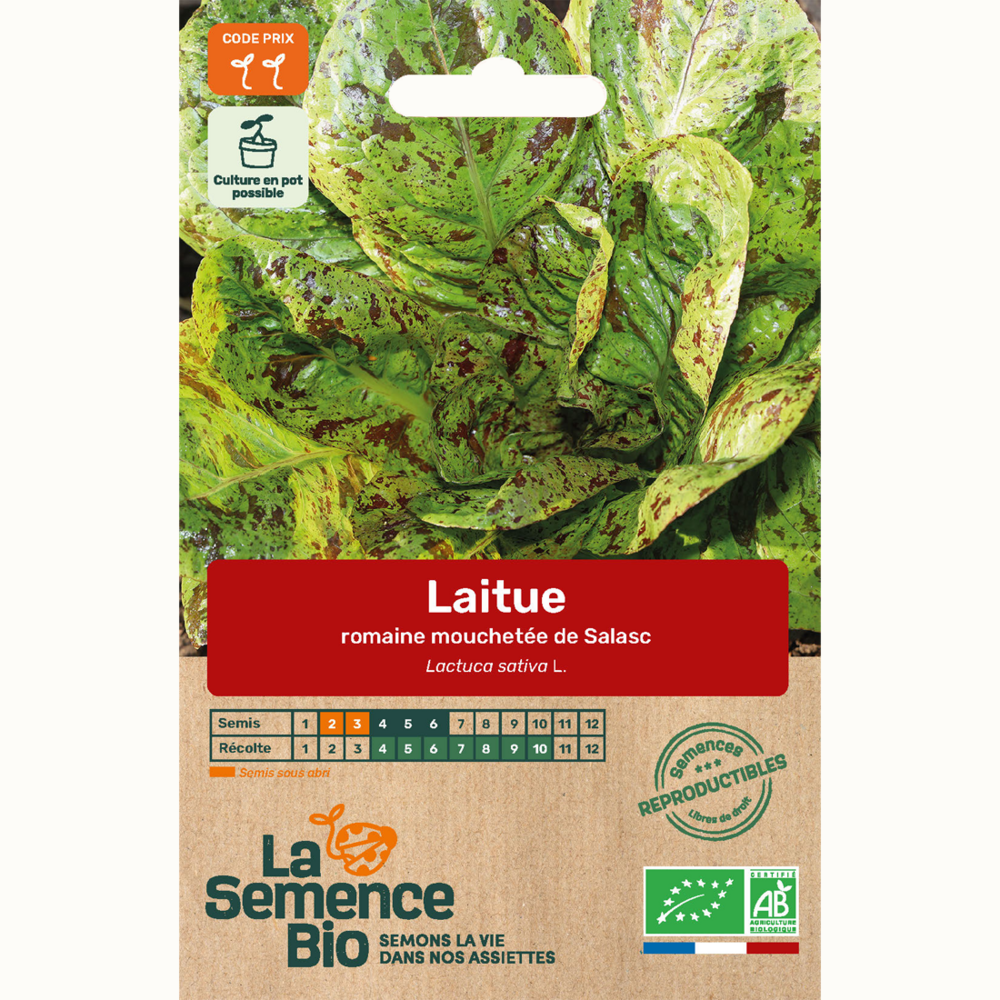 Laitue romaine mouchetée de salasc - graines bio