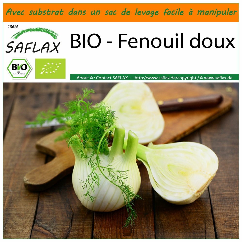 Garden in the bag - bio - fenouil doux - 100 graines - foeniculum vulgare var. Azoricum