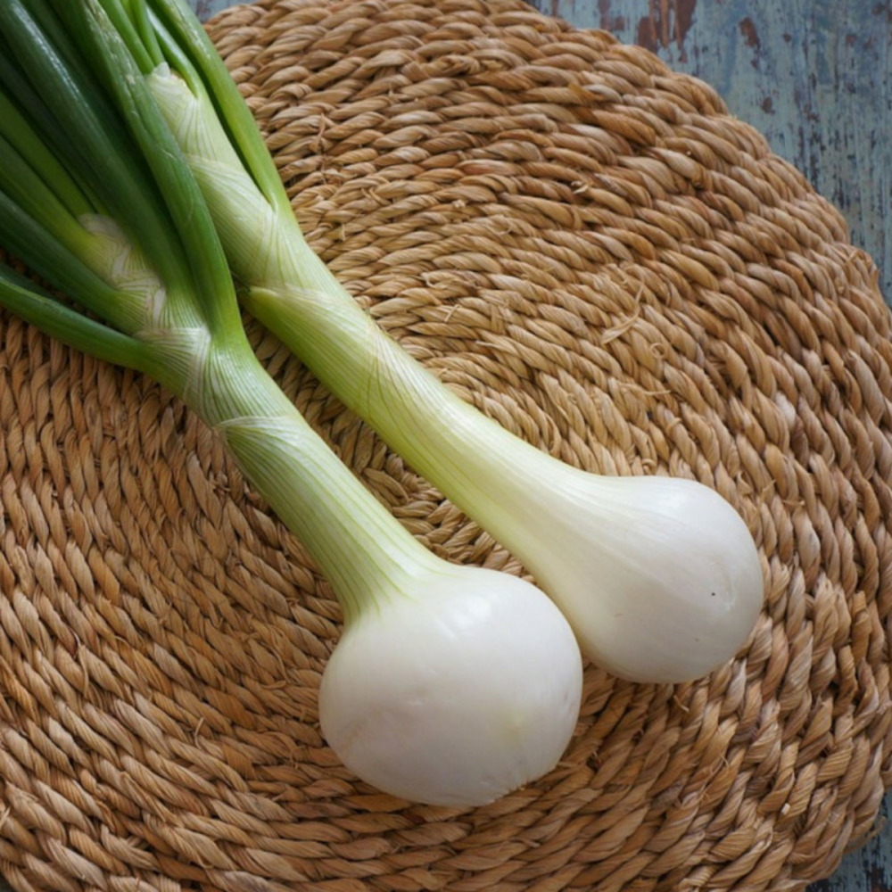 Graines d'oignon blanc hâtif de paris - prix malin sachet