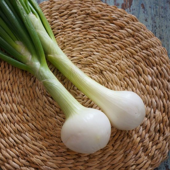 Graines d'oignon blanc hâtif de paris - prix malin sachet