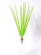 Corail en piquets x12 vert h 52 cm plastique superbe en bouquet - couleur: vert