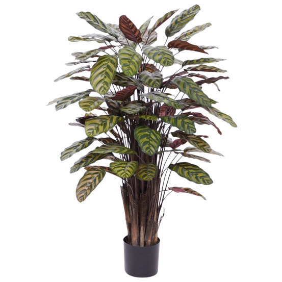 Calathea makoyana rouge plante artificiel deluxe 115cm
