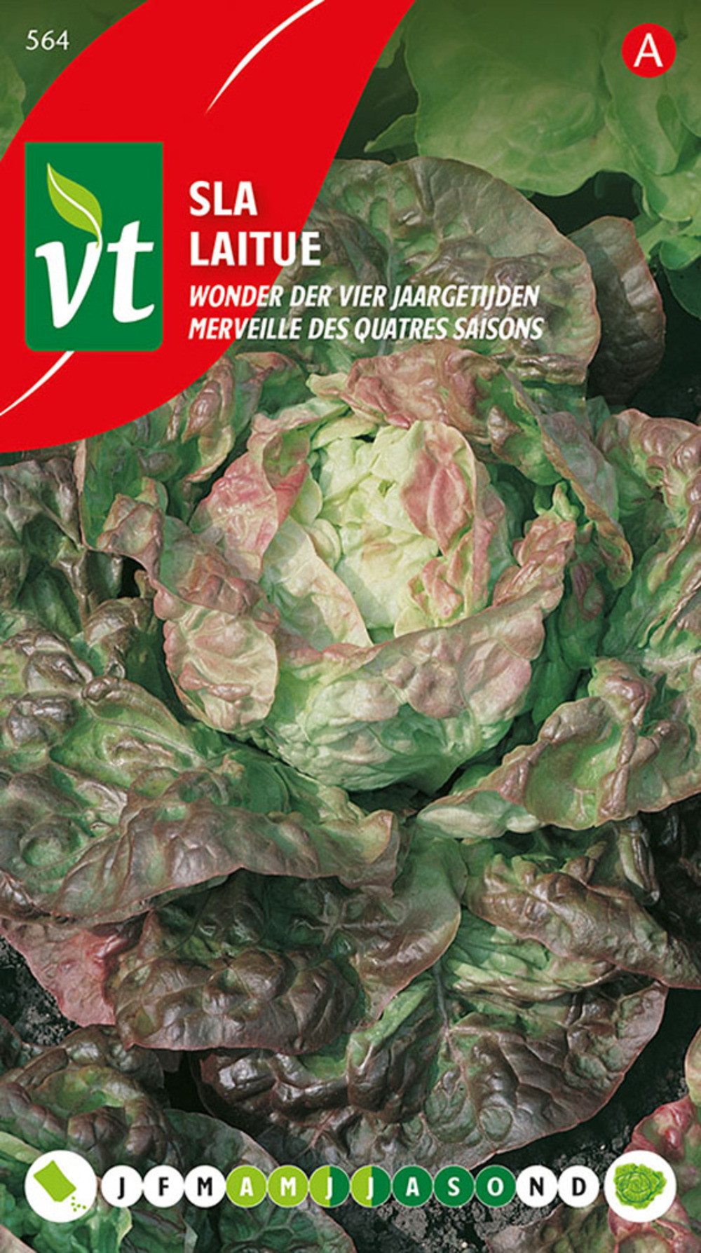 Laitue merveille des quatres saisons - ca. 3 gr (livraison gratuite)