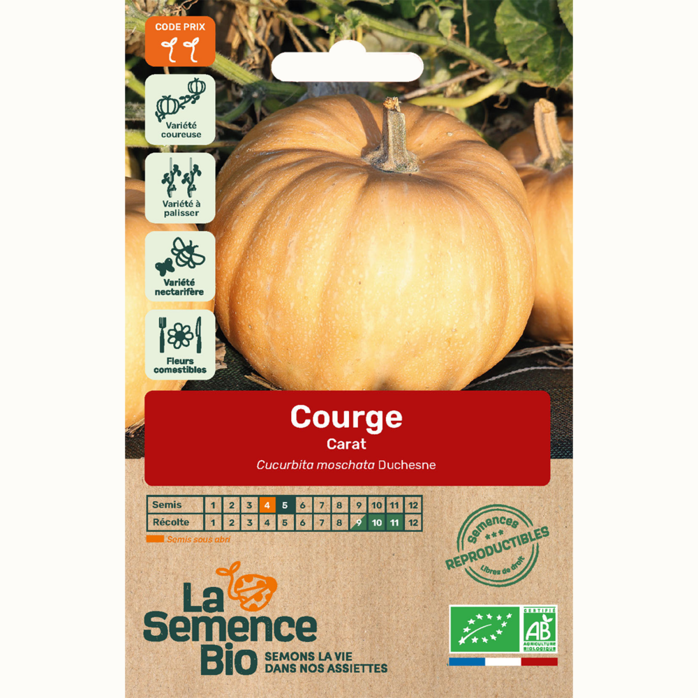 Courge carat - graines bio