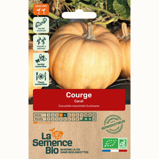 Courge carat - graines bio