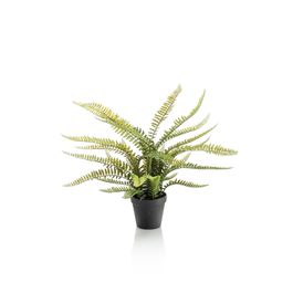 Hollyone Fougère artificielle en pot pour extérieur et intérieur, fausse fougère de Boston en pot pour terrasse, jardin, ferme, rebord de fenêtre, entrée, porche, bureau, salon, décoration d'intérieur Hollyone Fougère artificielle en pot pour extérieur et intérieur, fausse fougère de Boston en pot pour terrasse, jardin, ferme, rebord de fenêtre, entrée, porche, bureau, salon, décoration d'intérieur