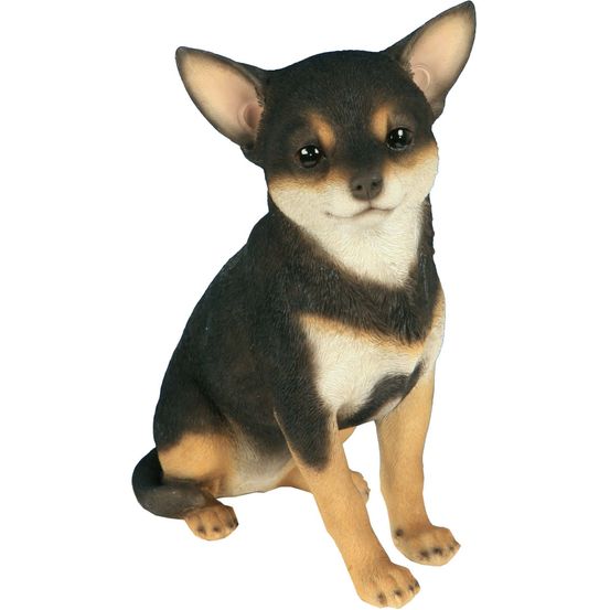 Chihuahua assis en résine 24 cm