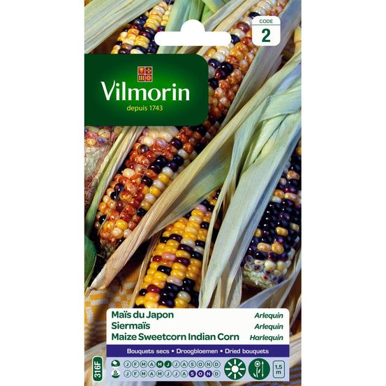 Sachet graines maïs du japon arlequin
