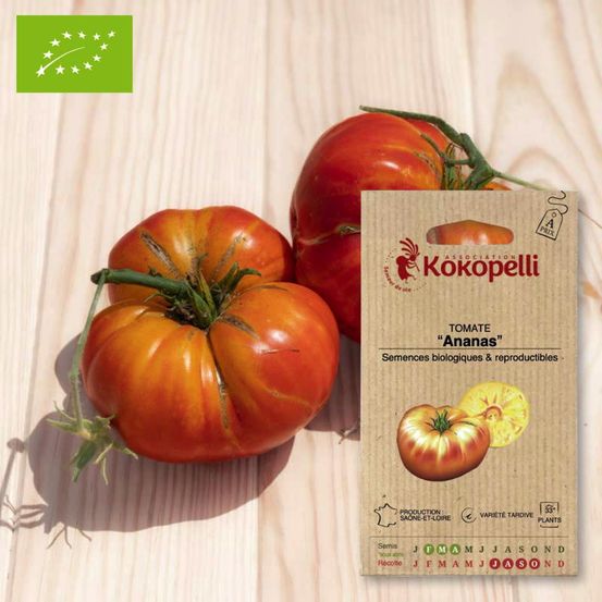 Tomate bigarrée ananas- graines bio à semer