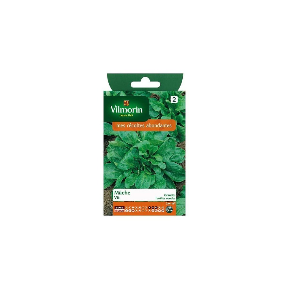 Sachet graines mâche vit