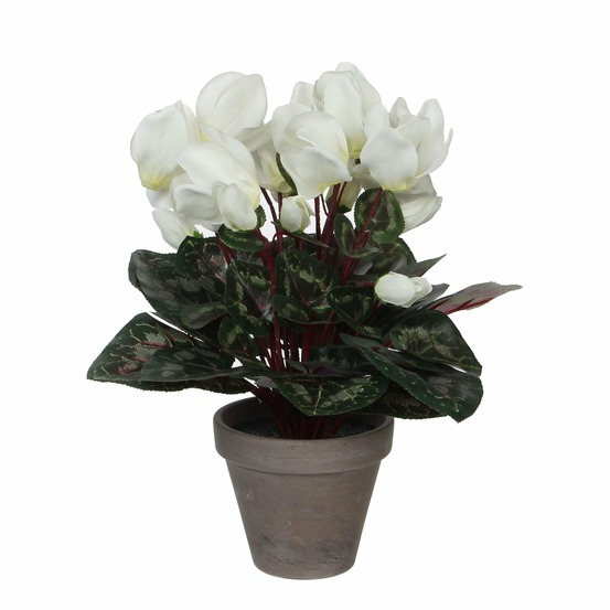 Mica decorations plante artificielle cyclamen - h30 cm - blanc